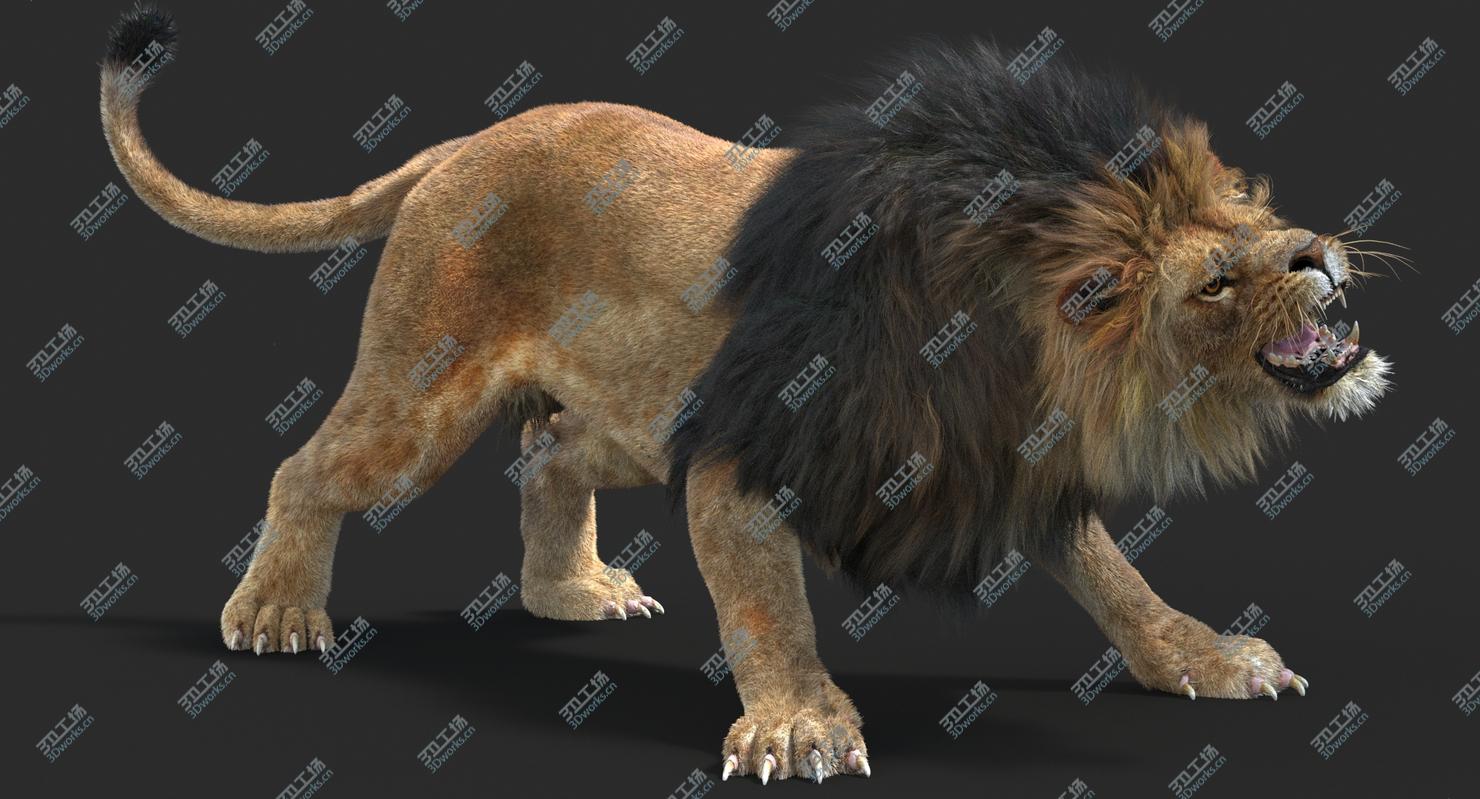 images/goods_img/2021040162/Lion 2 (Fur) (Rigged)/4.jpg